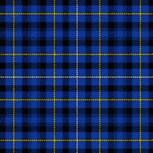 Fleming Tartan swatch