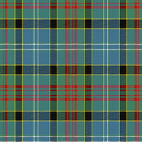 Paisley tartan swatch