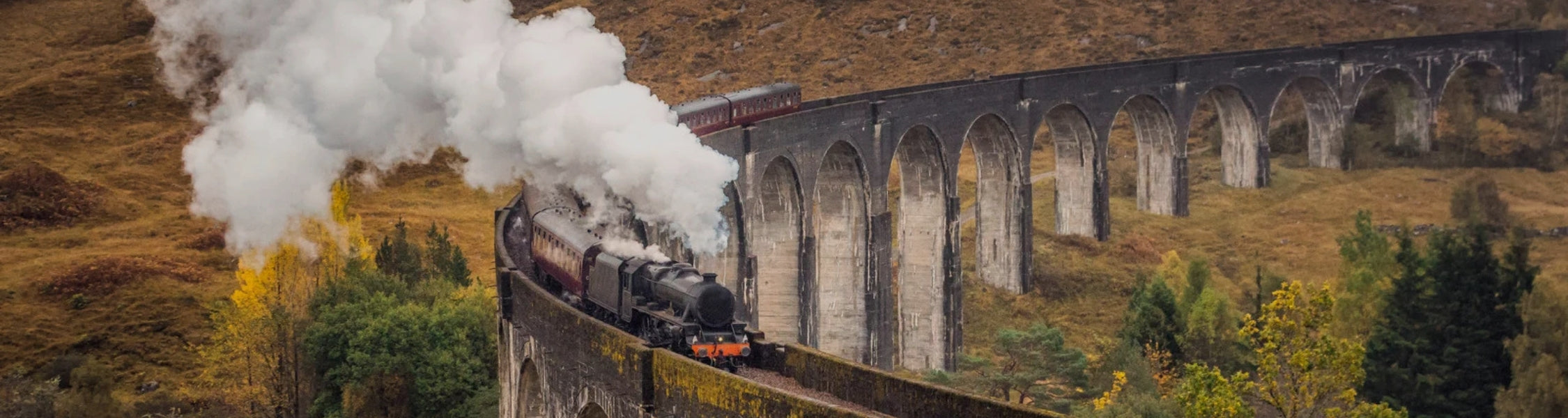 Colquhoun Heritage Fabric