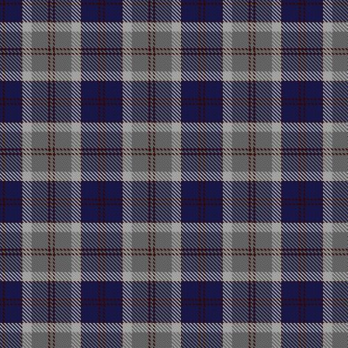 Bannockbane Silver tartan swatch
