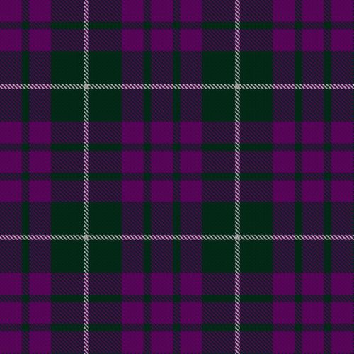 Baru tartan swatch