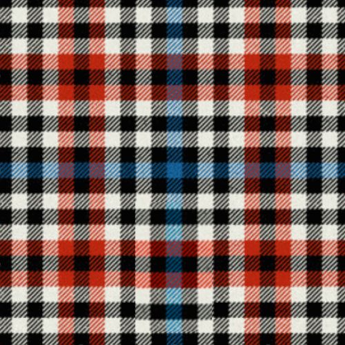 Border Bell Ancient tartan swatch