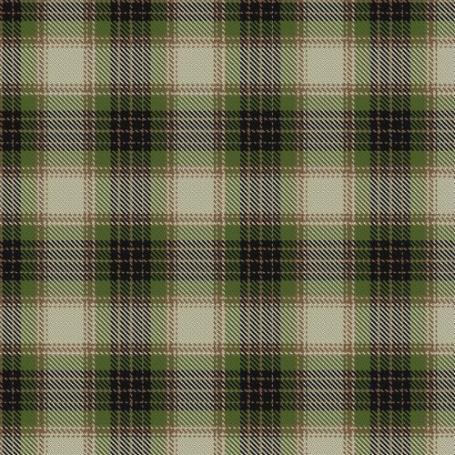 Ben Ledi tartan swatch