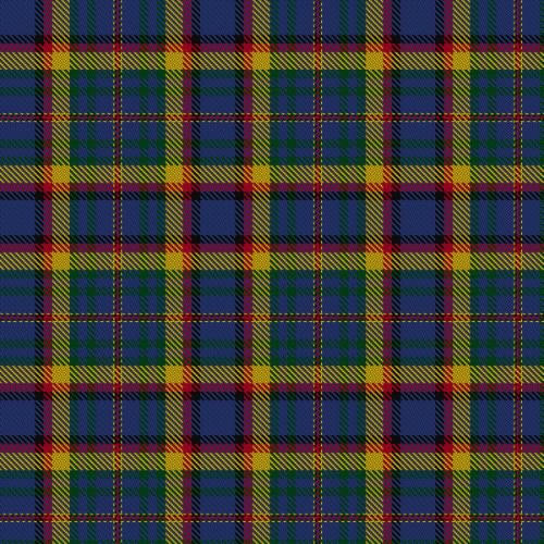 Berwick Friendship tartan swatch