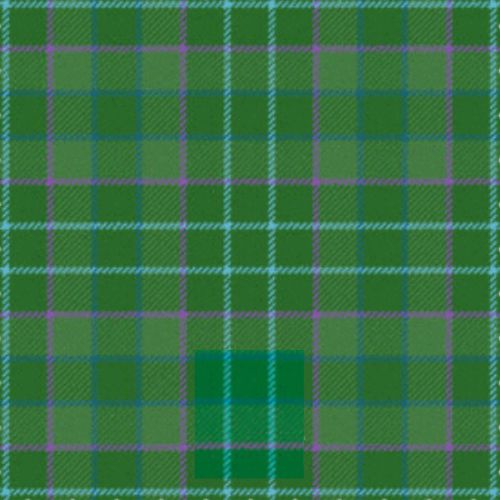 Blackwood Ancient tartan swatch