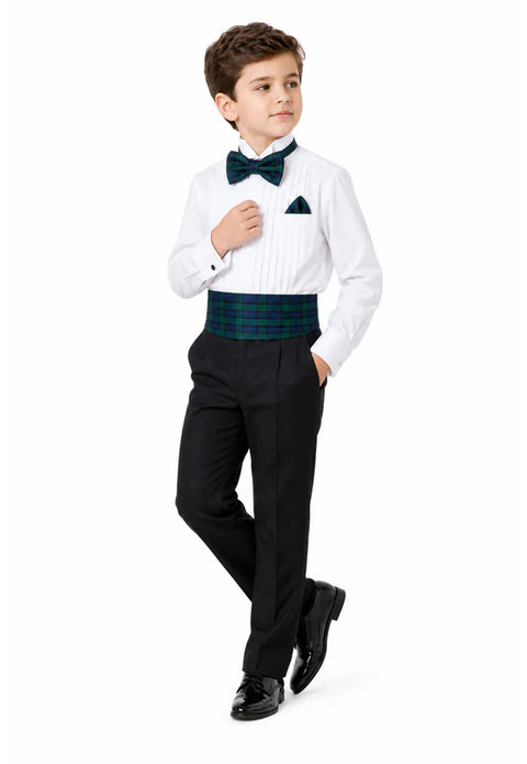 Lindsay Tartan Cummerbund