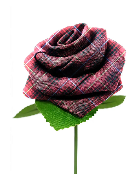 Bruce Tartan Stem Rose