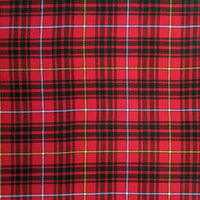 Bruce tartan swatch