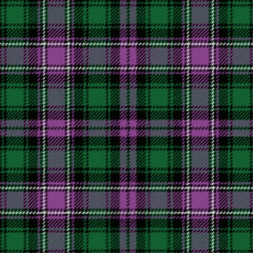 Caithelyn Ancient tartan swatch