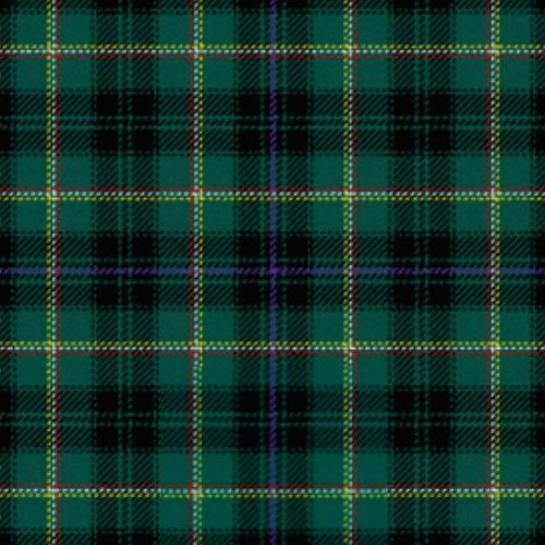 Campbell Marquis of Lorne tartan swatch