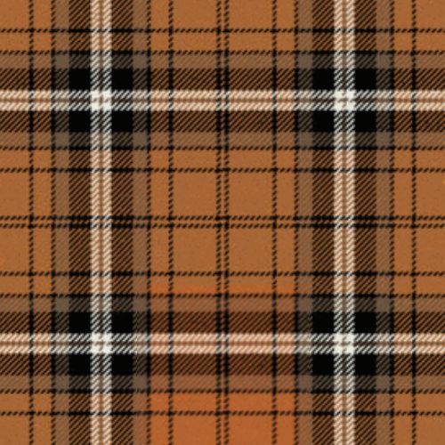 Campbell of Braemar Tartan