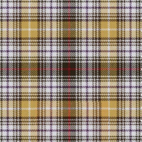 Clanedin Commemorative Ancient tartan swatch