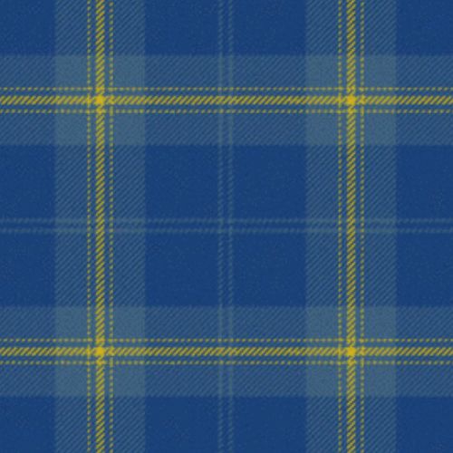 Danzas tartan swatch