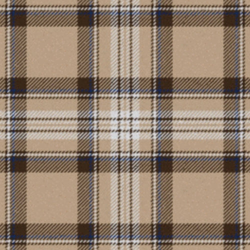 Elvan tartan swatch