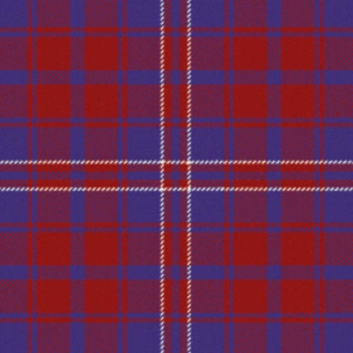 Embrace The tartan swatch