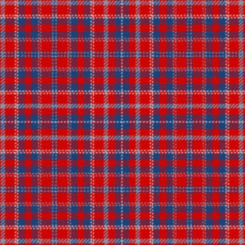 Ensemble pour L'Avenir tartan swatch