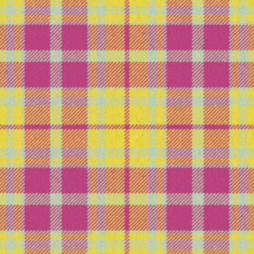 Eye Scourer tartan swatch