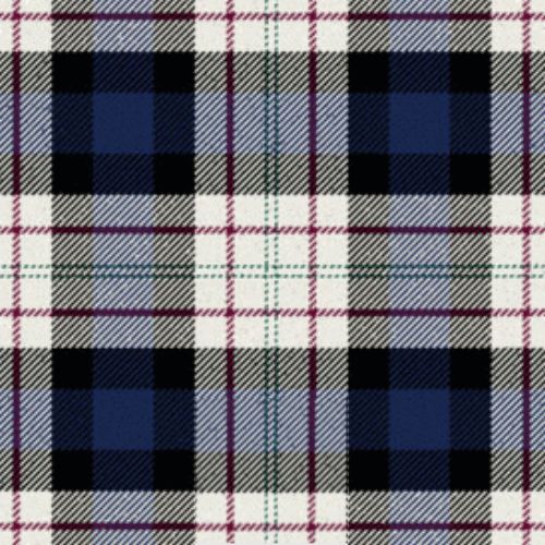 Ferguson Dress tartan swatch