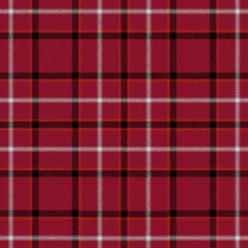 Fernie tartan swatch