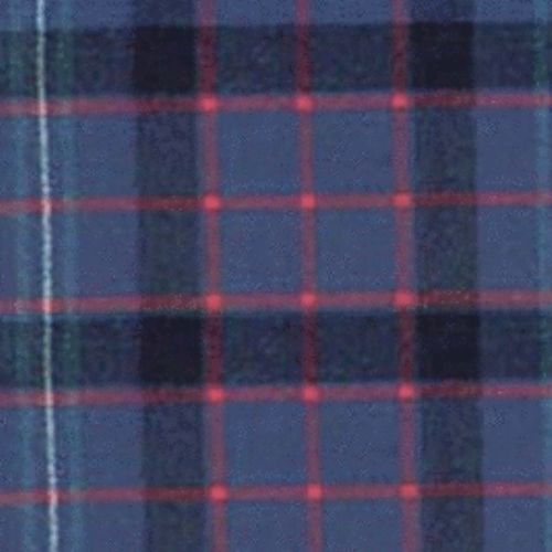 Fitzgerald Blue Tartan