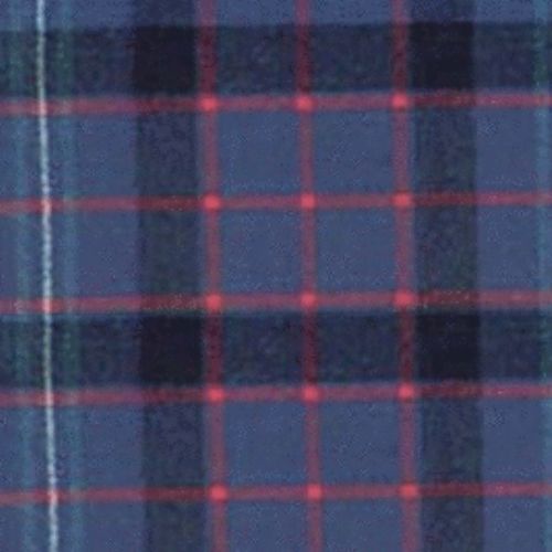 Fitzgerald Blue tartan swatch