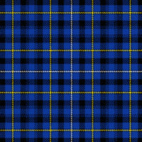 Fleming tartan swatch