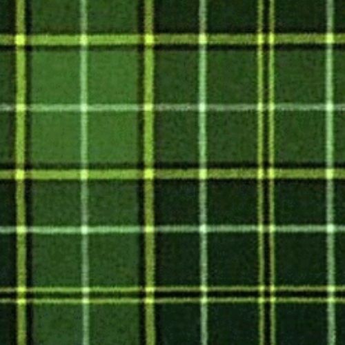 Forrester Hunting Tartan swatch