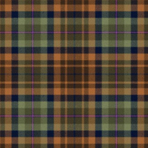 Holland Friendship Ancient tartan swatch