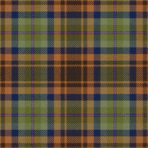 Holland Friendship tartan swatch