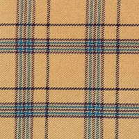 Houston tartan swatch