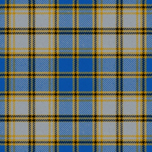 Independence Universal tartan swatch