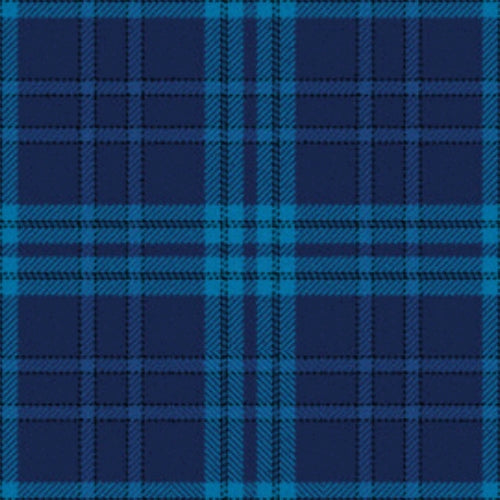 Indigo Blue Corporate Tartan