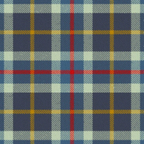 Inspiration tartan swatch