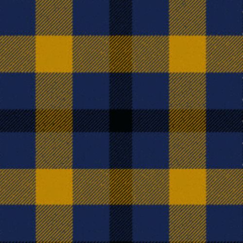 Kazakhstan Relic tartan swatch