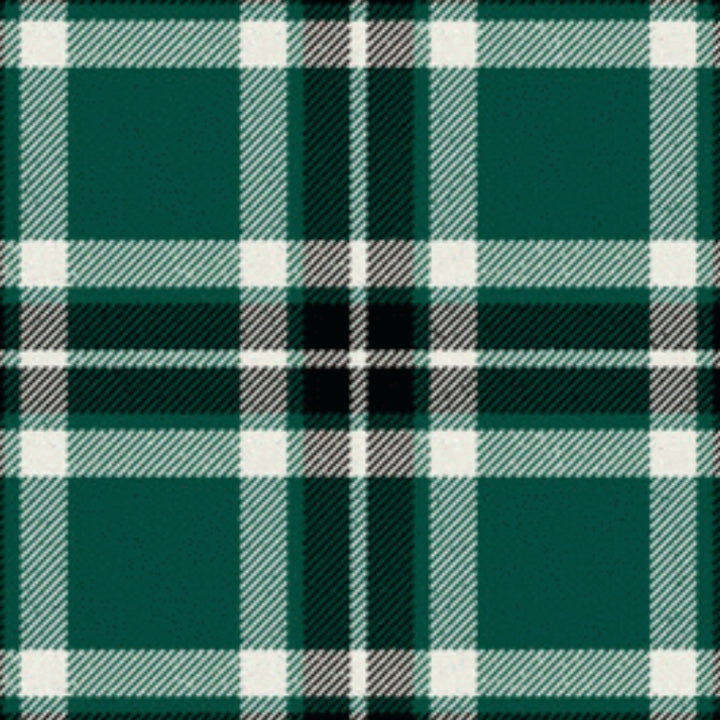 Loch Rannoch Tartan