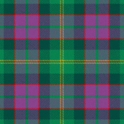New Mexico Land of Enchantment tartan swatch