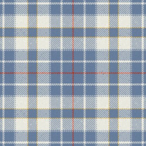 Orlando City Dress Ancient tartan swatch