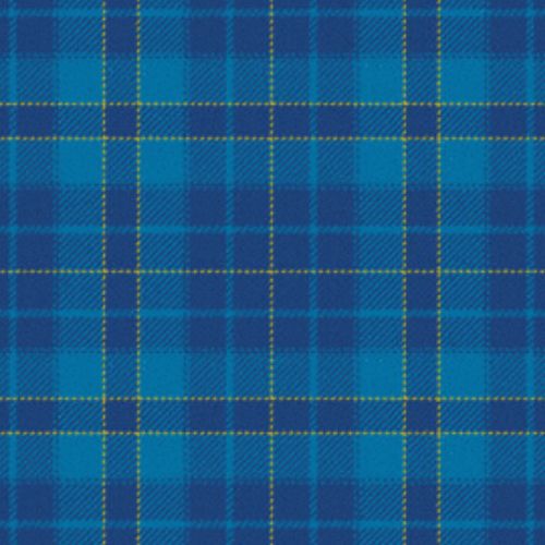 Orlando Police Department tartan swatch