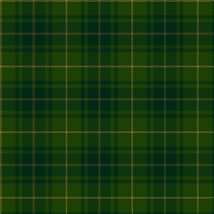 Park Estate Ancient tartan swatch