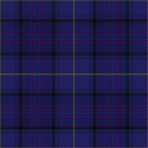 Payne tartan swatch