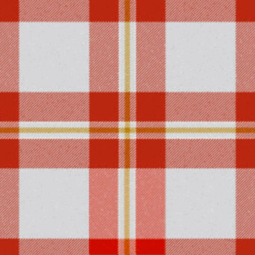 Perry Arisaid Ancient tartan swatch