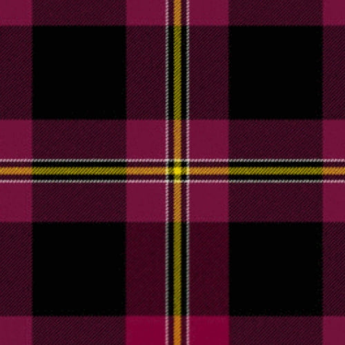 Perry Dress tartan swatch