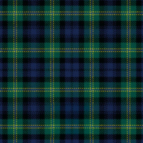 Polaris tartan swatch