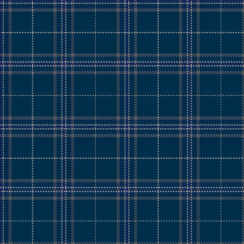 Pride of the Clyde tartan swatch
