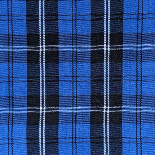 Ramsay Blue Hunting Tartan swatch