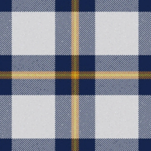 Red Bull Tartan