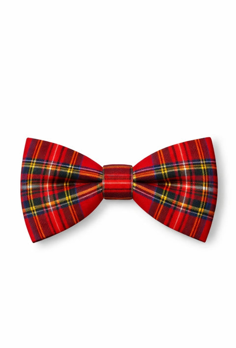 Royal Stewart Signature Boy's Tartan Bow Tie