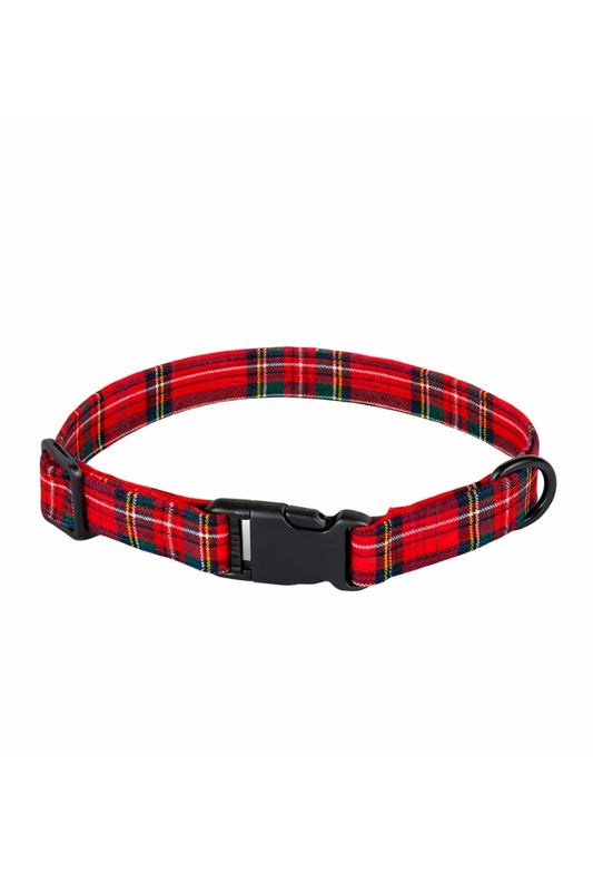 Royal Stewart Tartan Dog Collar