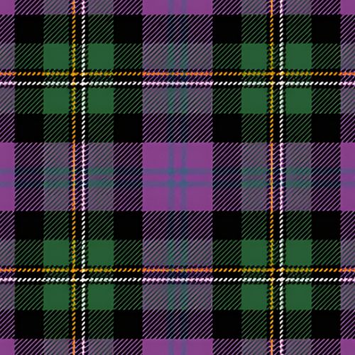 Shandon Ancient tartan swatch