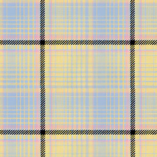 Shapiro tartan swatch
